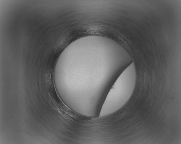 X0000052930603200507080829