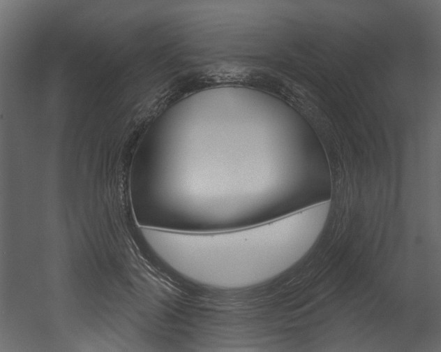 X0000052930604200507080829