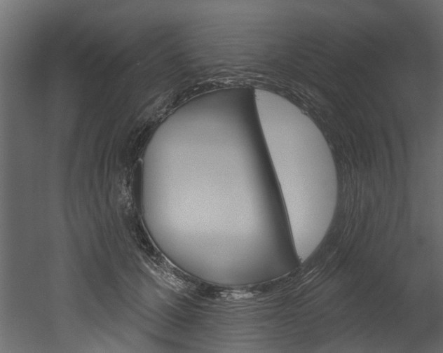 X0000052930607200507080829