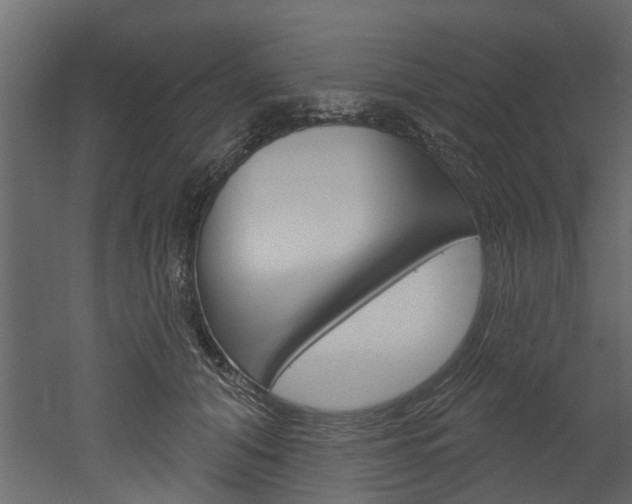 X0000052930608200507080828
