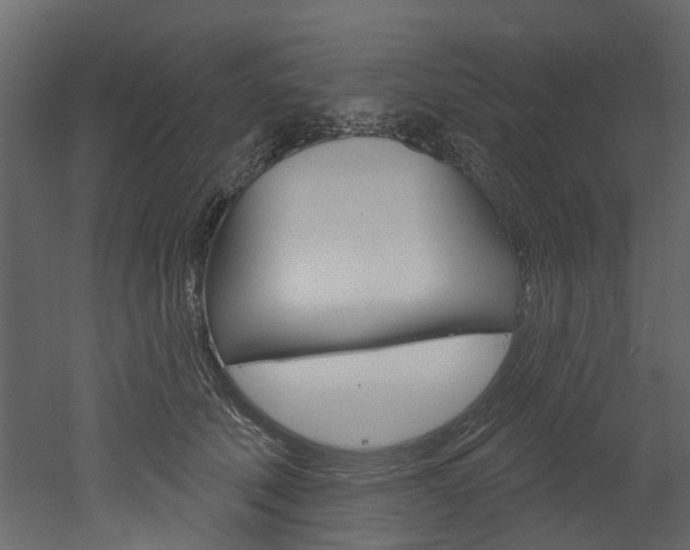 X0000052930610200507080828