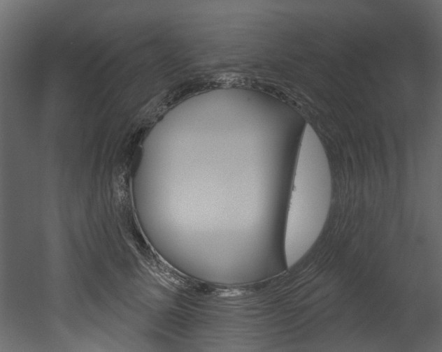 X0000052930611200507080828
