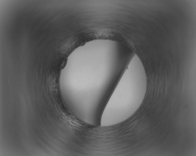 X0000052930619200507080828