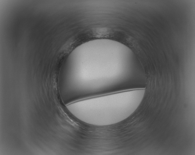 X0000052930620200507080828