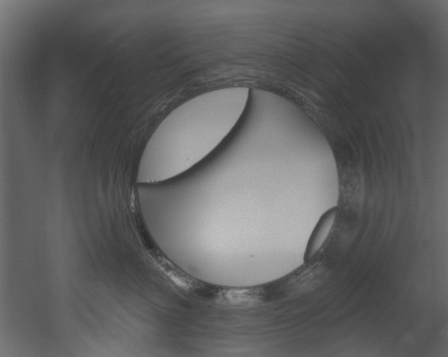 X0000052930622200507080828