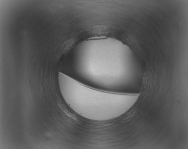 X0000052930623200507080828