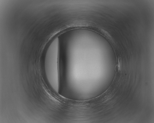 X0000052930627200507080827