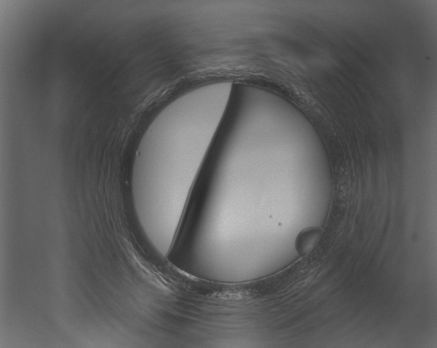 X0000052930639200507080828