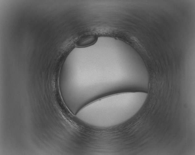 X0000052930640200507080828