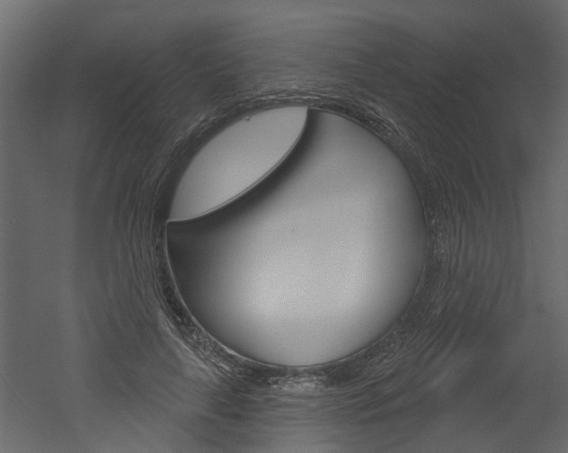 X0000052930643200507080828