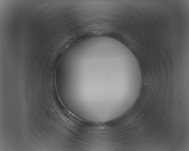 X0000052930646200507080828