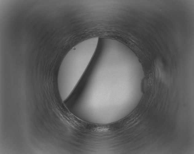 X0000052930651200507080828