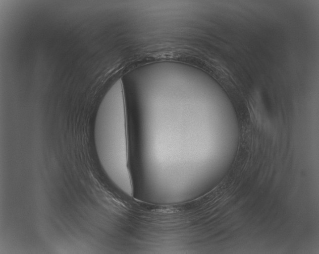 X0000052930652200507080828