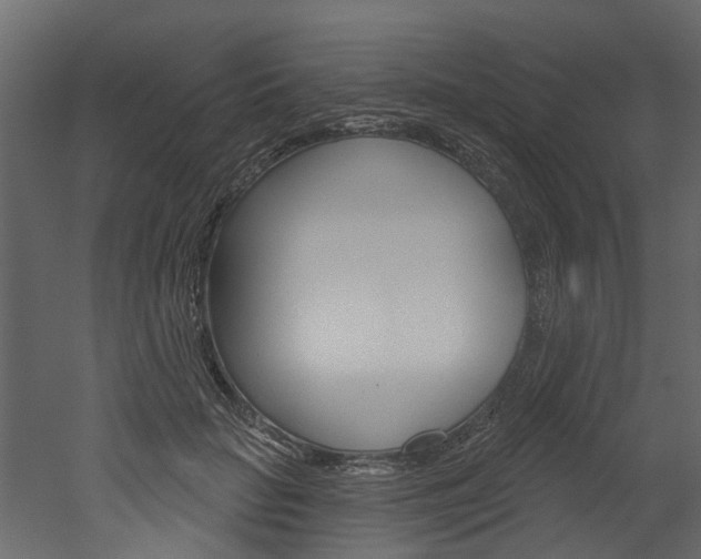 X0000052930653200507080828