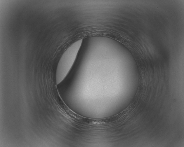 X0000052930654200507080828