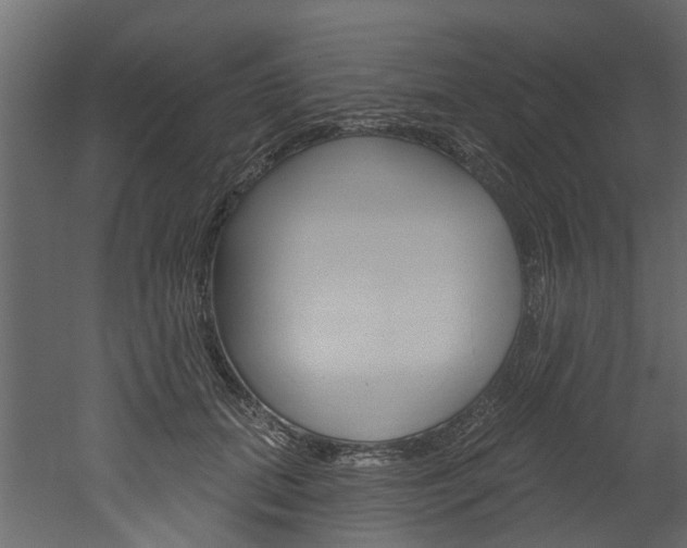 X0000052930655200507080828