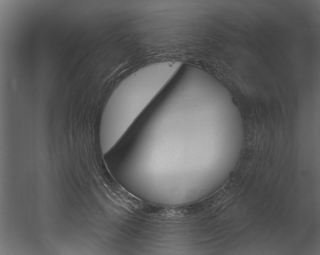X0000052930656200507080828