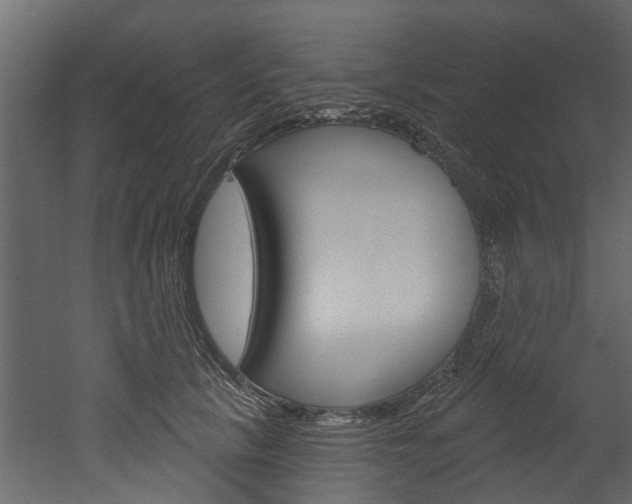 X0000052930657200507080828