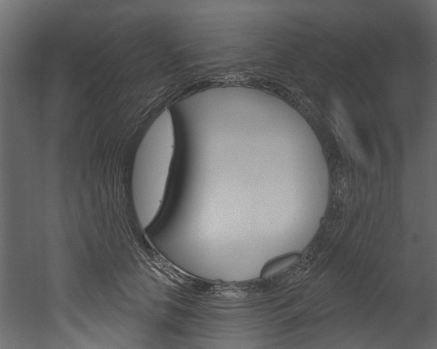 X0000052930658200507080828