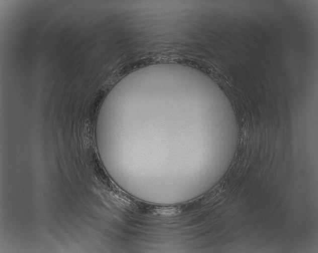 X0000052930659200507080828