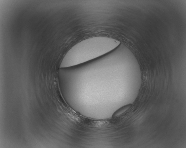 X0000052930663200507080828