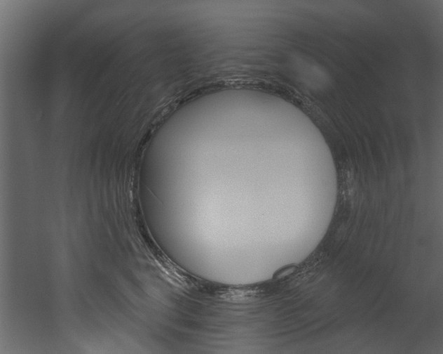 X0000052930664200507080828