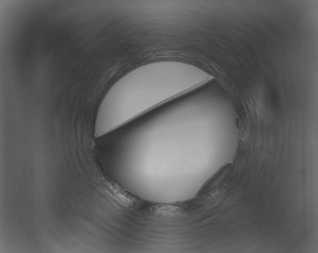 X0000052930669200507080828