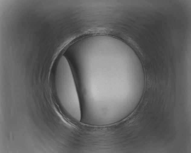 X0000052930674200507080827