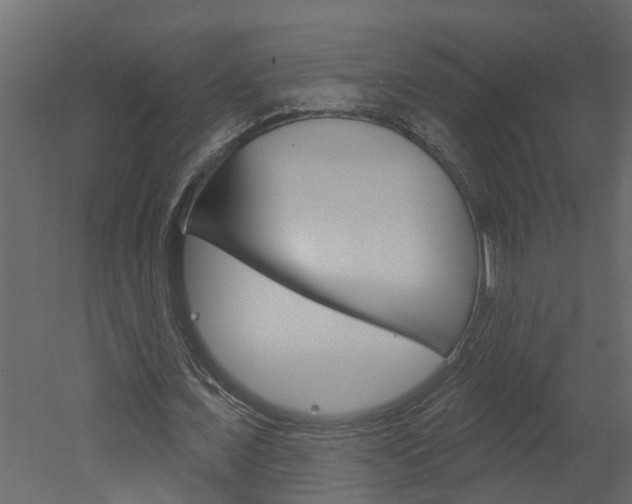 X0000052930675200507080827