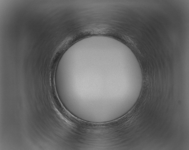 X0000052930686200507080827