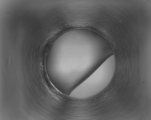 X0000052930688200507080827