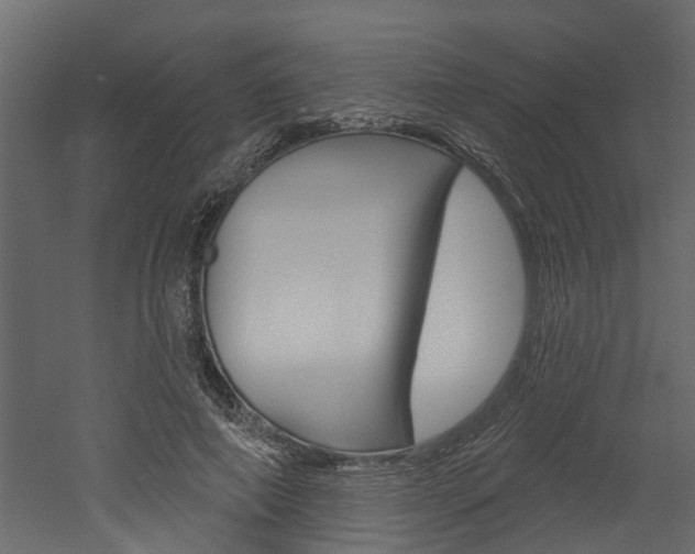 X0000052930690200507080827