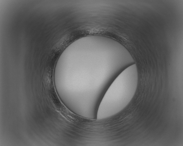 X0000052930691200507080827
