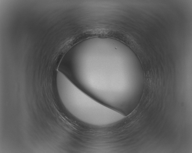 X0000052930692200507080827