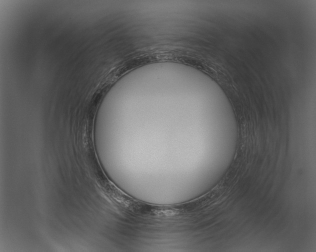 X0000052930698200507080827
