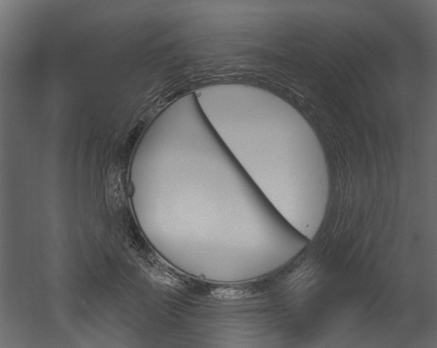 X0000052930699200507080827