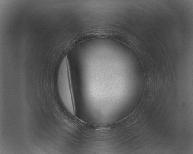 X0000052930700200507080827
