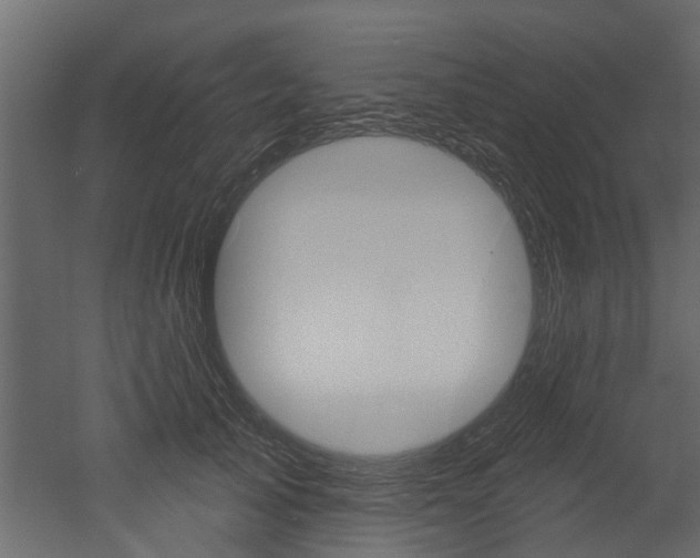 X0000052930705200507080827