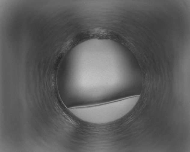 X0000052930708200507080827