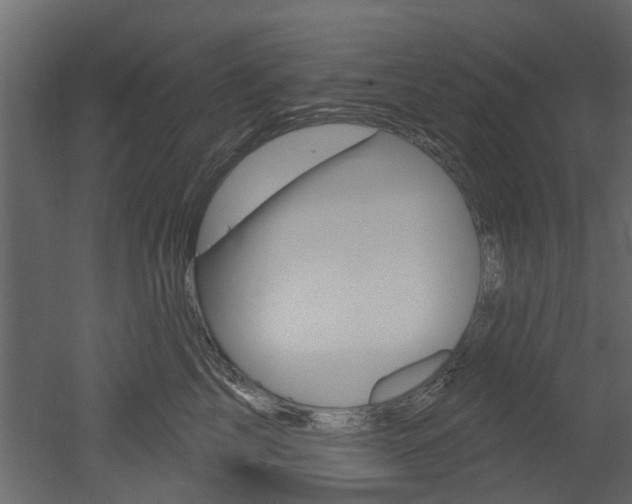 X0000052930713200507080827