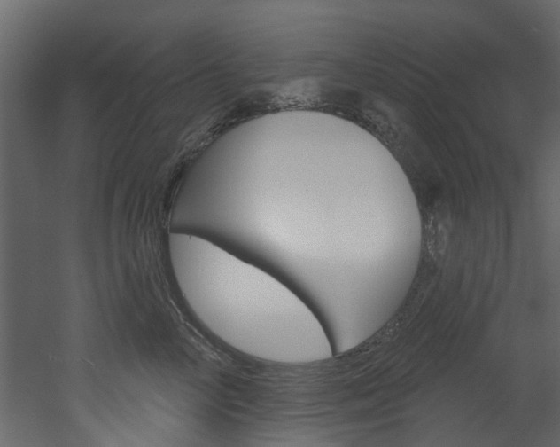 X0000052930714200507080827