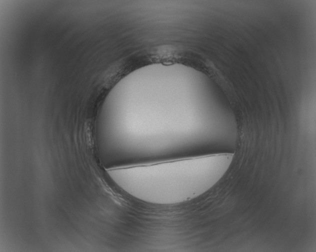 X0000052930715200507080827