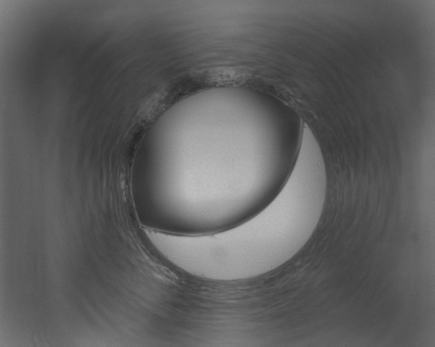 X0000052930716200507080827