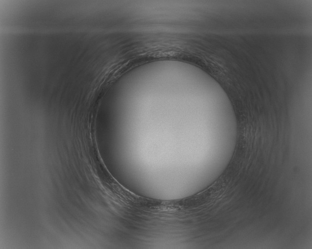X0000052930743200507080826