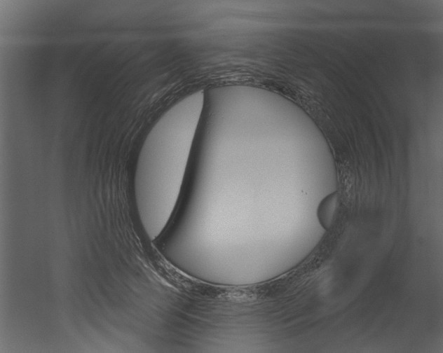 X0000052930745200507080826