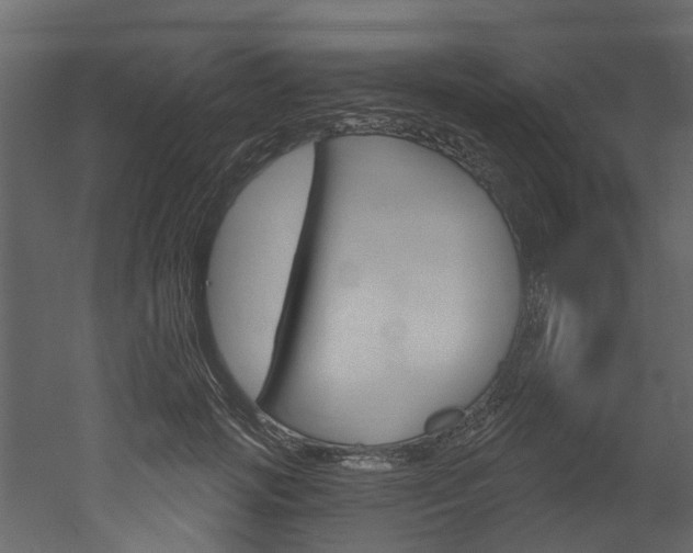 X0000052930749200507080826
