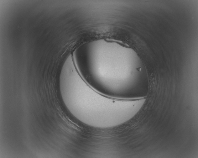 X0000052930756200507080826
