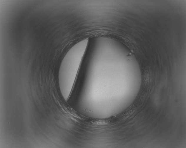 X0000052930759200507080826