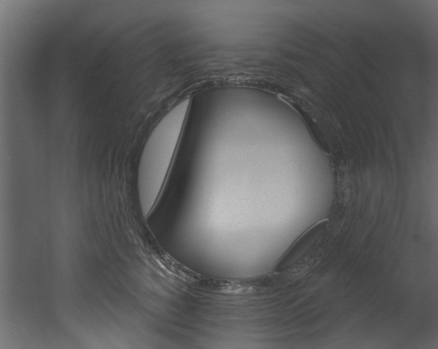 X0000052930760200507080826