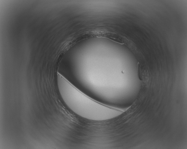 X0000052930762200507080826